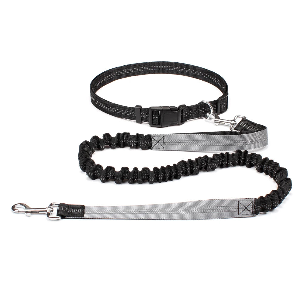 Hands-Free Running Leash with Waist Belt for Dogs