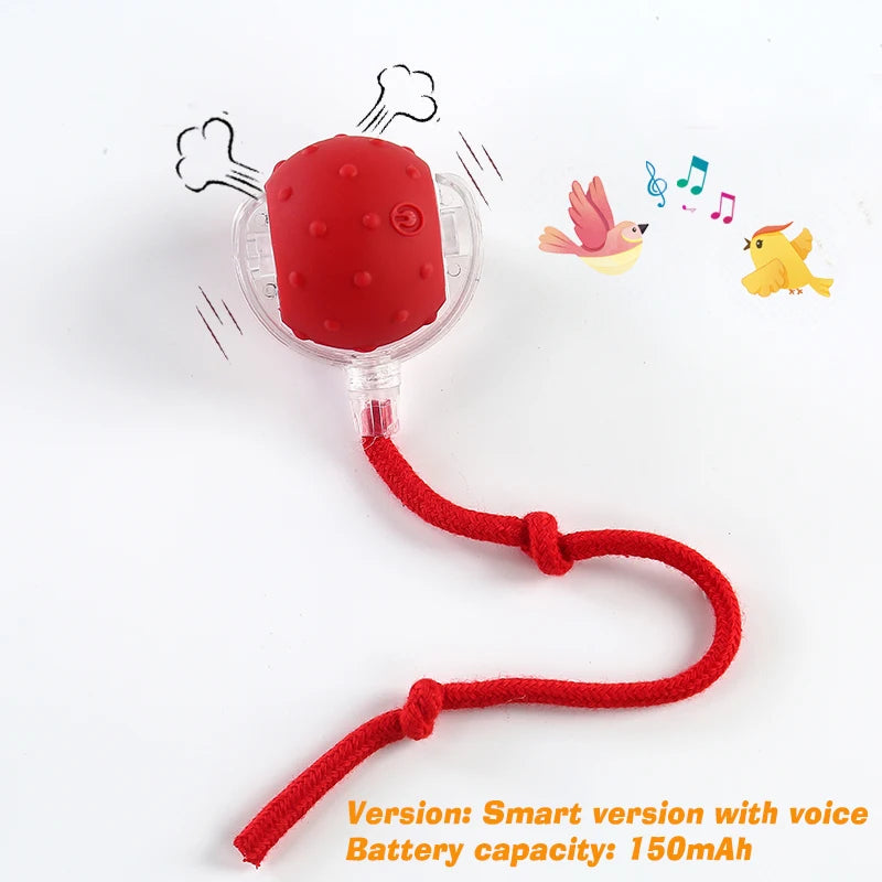 Automatic Rolling Ball Cat Toy – Rechargeable Smart Toy