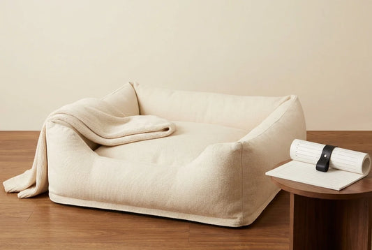 Professional header image for list-based article: How to Choose the Right Dog Bed: 7 Things Every Owner Sho...