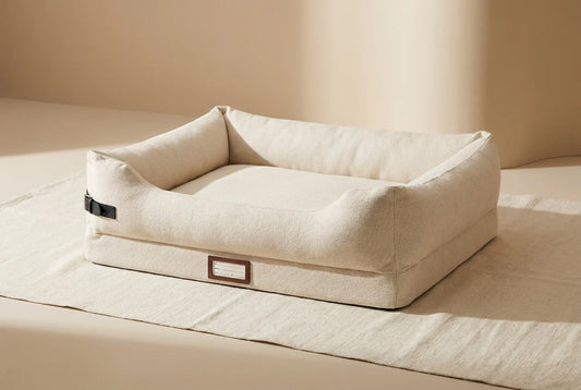 Professional header image for list-based article: The Complete Dog Bed Buying Guide: Best Types, Sizes and ...