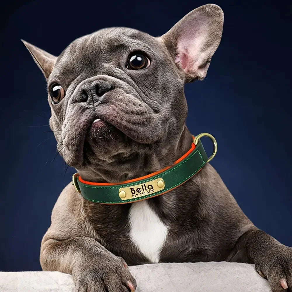 Personalized Leather ID Collar - product detail view