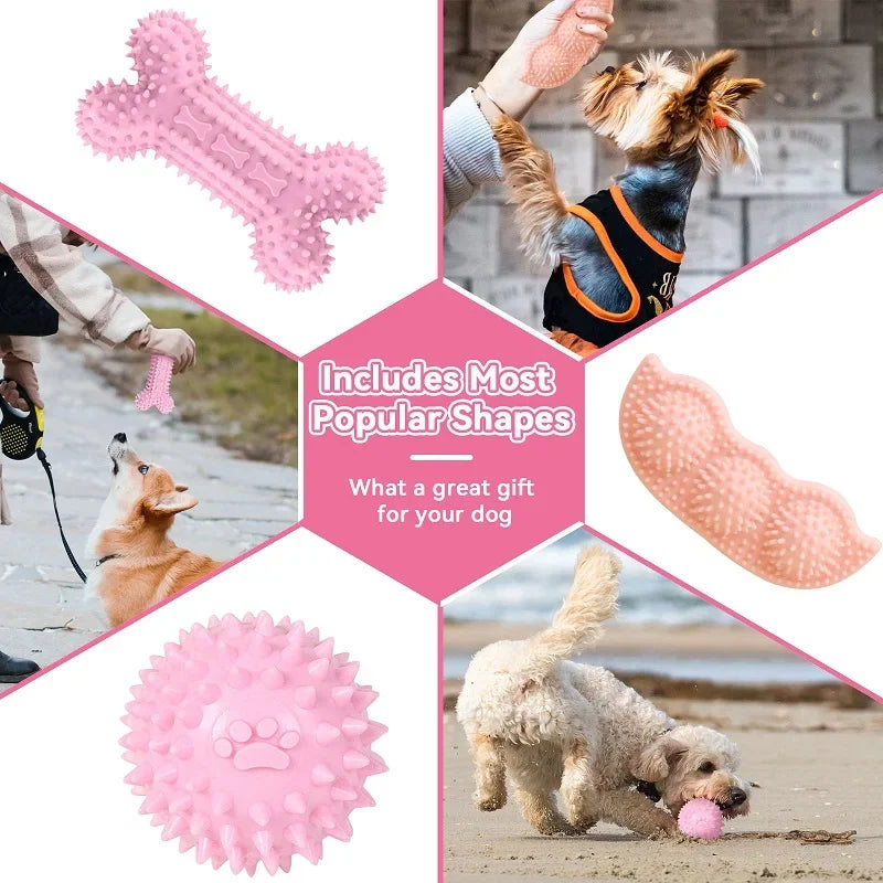 Rubber Bone & Treat Ball Chew Toy Set - product detail view