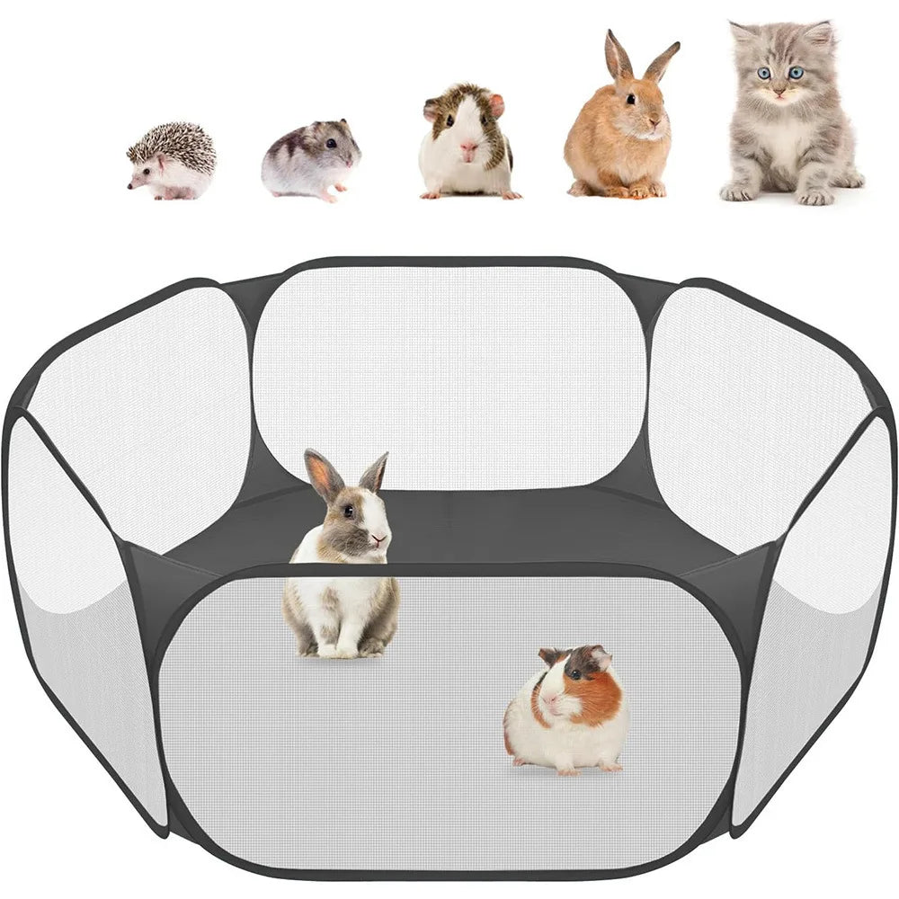 Foldable Transparent Pet Playpen - small pet playing inside mesh playpen