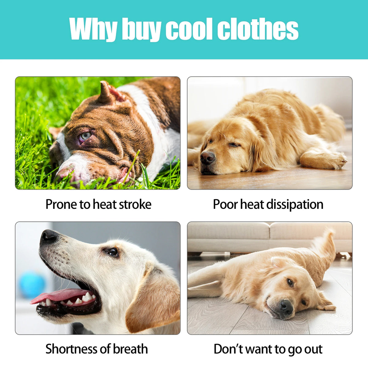 Breathable Cooling Vest for Dogs - product detail view