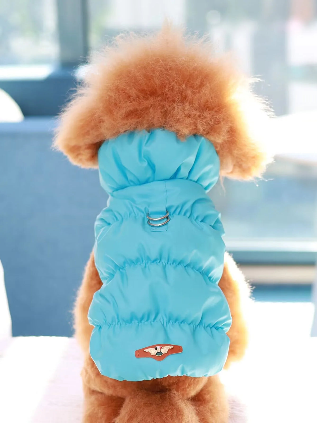 3-Layer Thick Dog Coat - product detail view