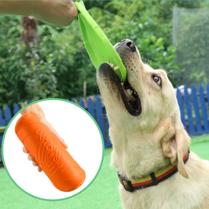 Silicone Flying Disc Dog Toy - dog catching flying disc outdoors