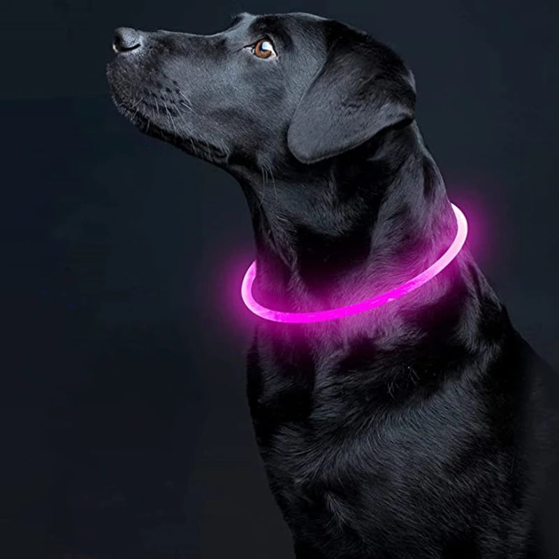 USB Rechargeable LED Glow Dog Collar