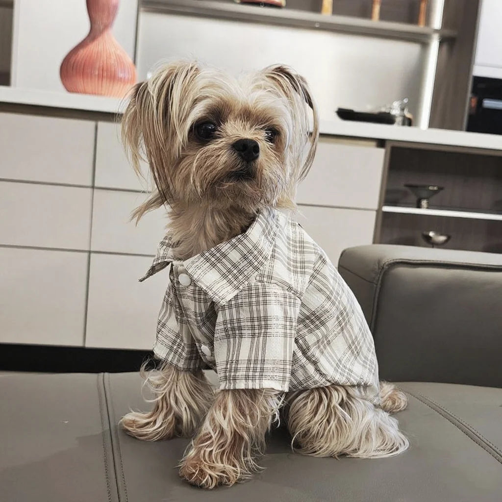 Plaid Shirt for Dogs & Cats - pet wearing lightweight plaid shirt