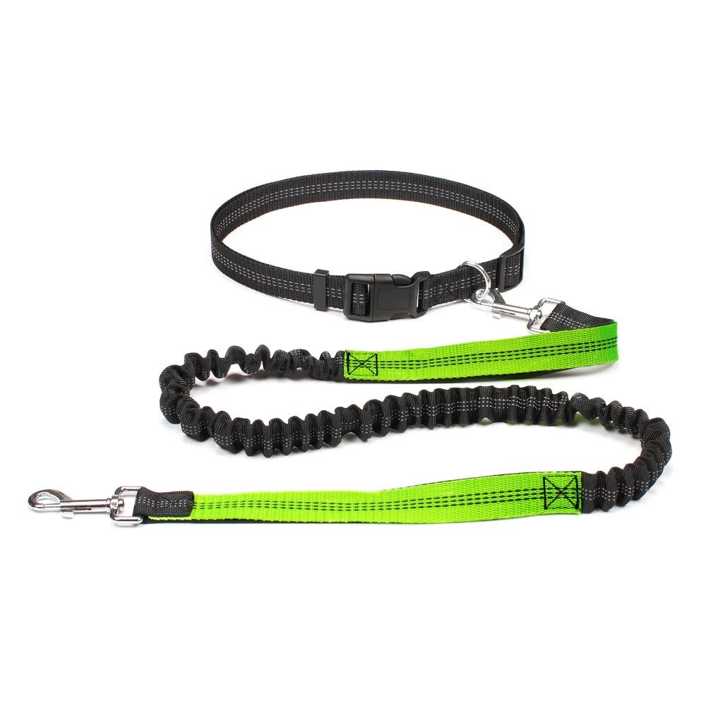 Hands-Free Running Leash with Waist Belt for Dogs