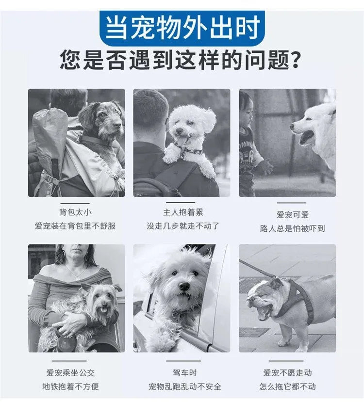Airline-Approved Soft Pet Carrier Bag with Cushion