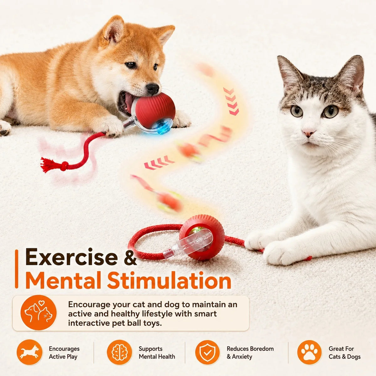 Automatic Rolling Ball Cat Toy – Rechargeable Smart Toy