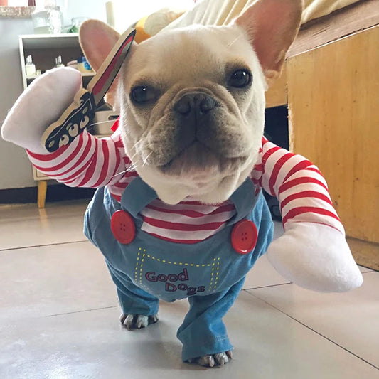 Halloween Costume for Pets - main product photo