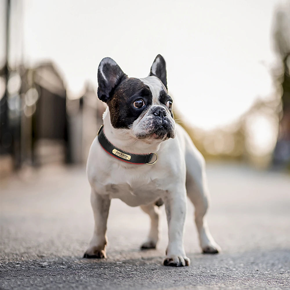 Personalized PU Leather ID Collar for Dogs