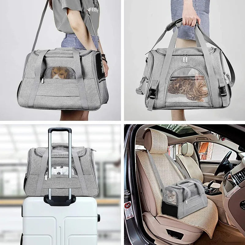 Airline-Approved Soft Pet Carrier Bag - pet resting inside soft carrier