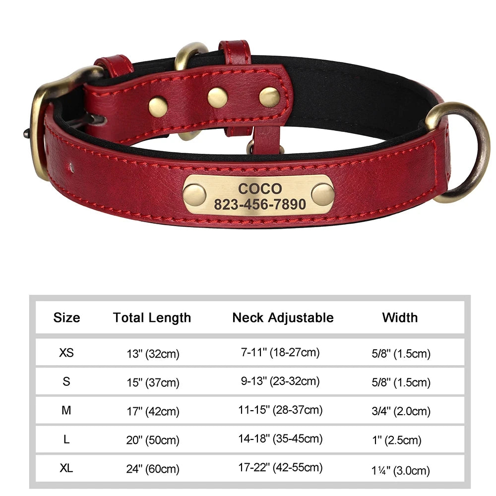 Personalized Leather ID Collar for Dogs – Free Engraving