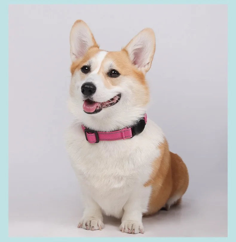 Reflective Adjustable Dog Collar – AirTag Compatible