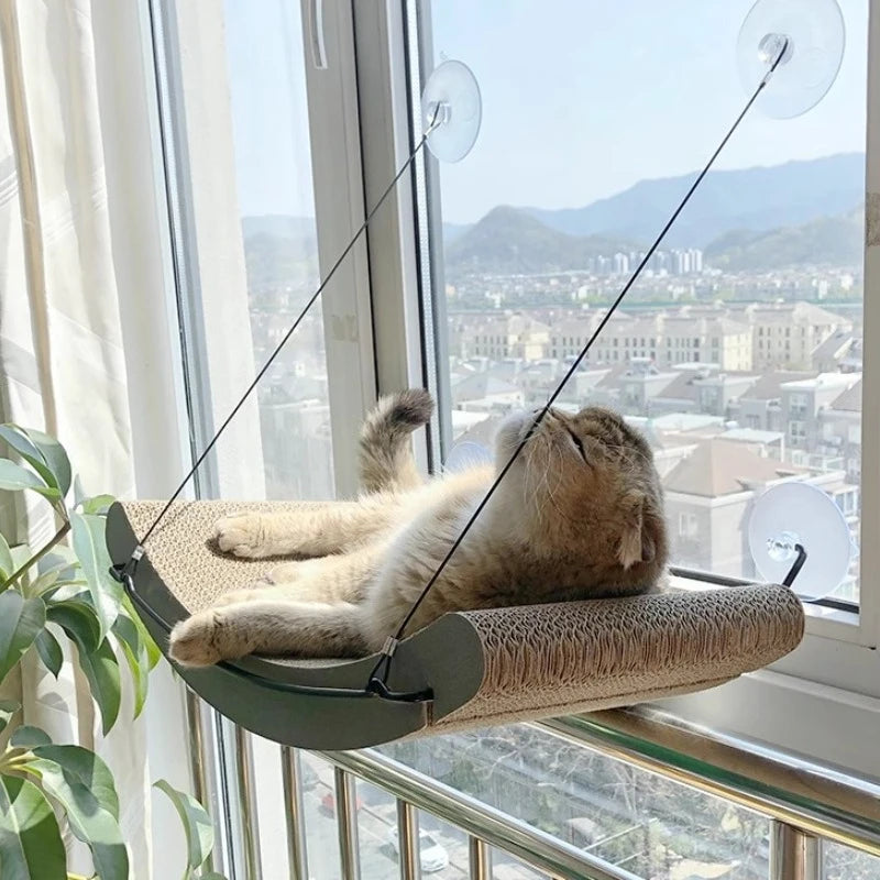 Curved Window Hammock Bed for Cats - cat sunbathing in window hammock