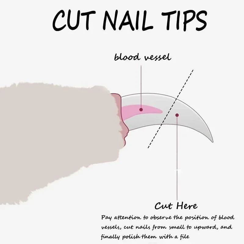 Manual Nail Clipper for Dogs & Cats - close-up of sturdy grip handle
