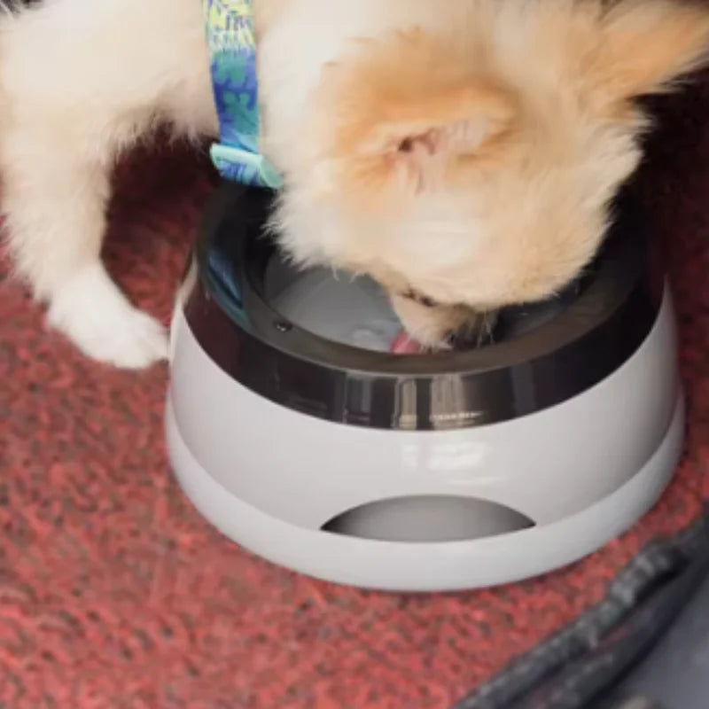 Floating No-Spill Pet Water Bowl