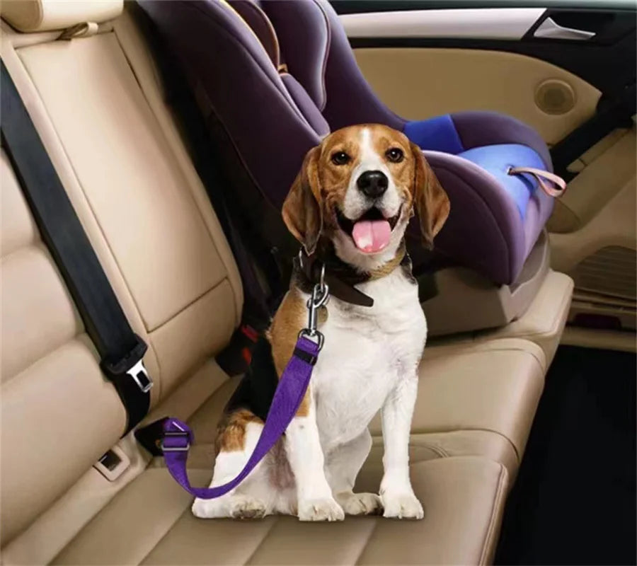 Adjustable Car Seat Belt for Pets - close-up of universal safety buckle