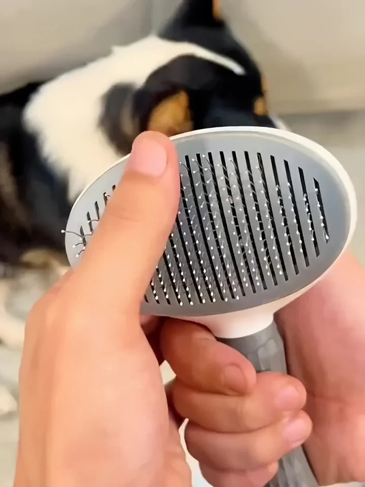 Self-Cleaning Grooming Brush - product detail view