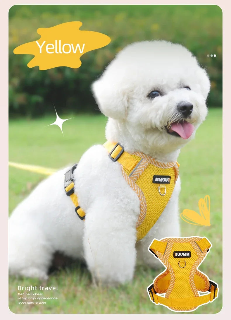 Reflective Harness & Leash Set for Small Dogs