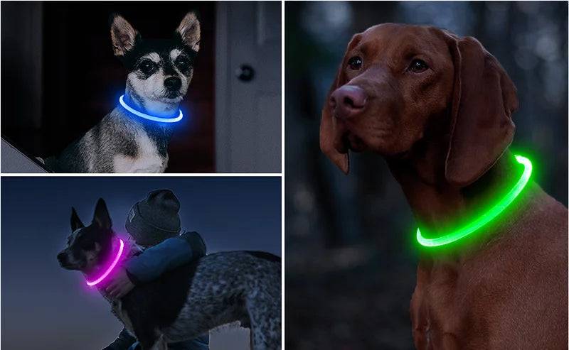 USB Rechargeable LED Glow Collar - product detail view