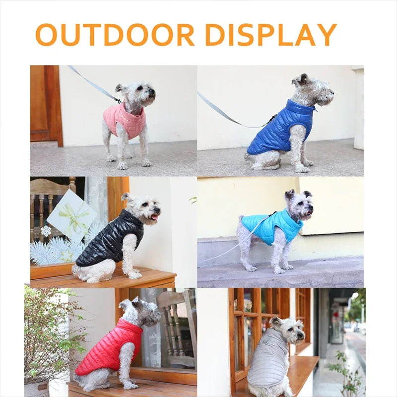 Padded Winter Dog Coat - product detail view