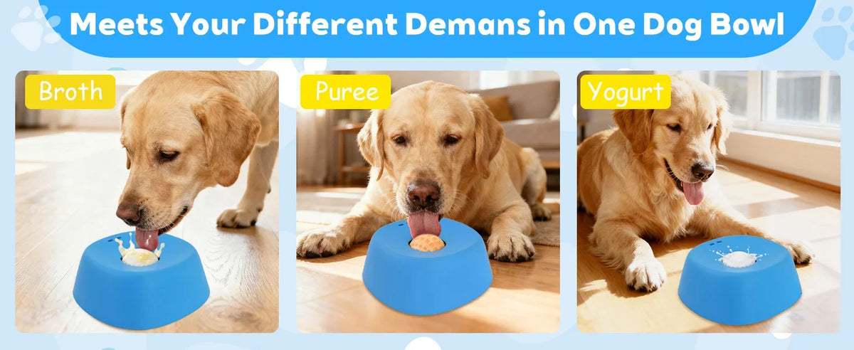 Slow Lick Bowl for Dogs - product detail view