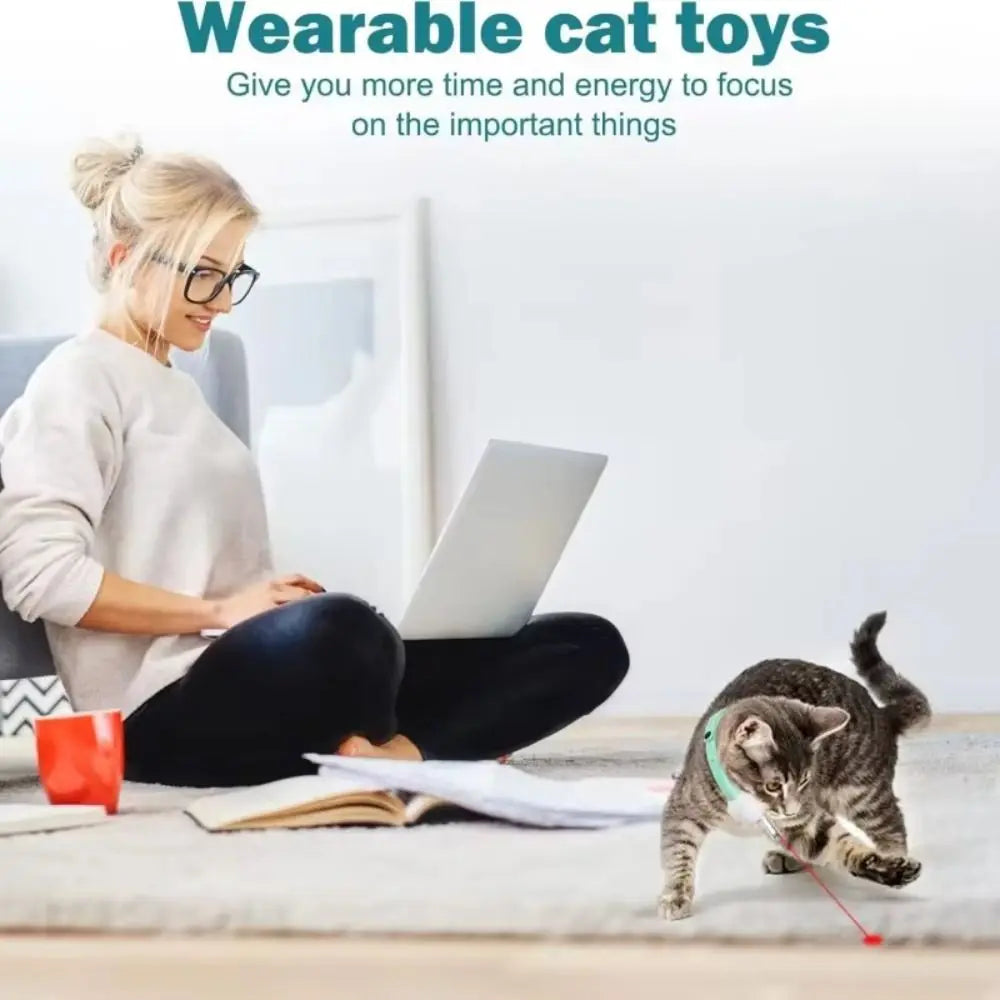 LED Light-Up Collar for Cats - cat wearing glowing collar at night