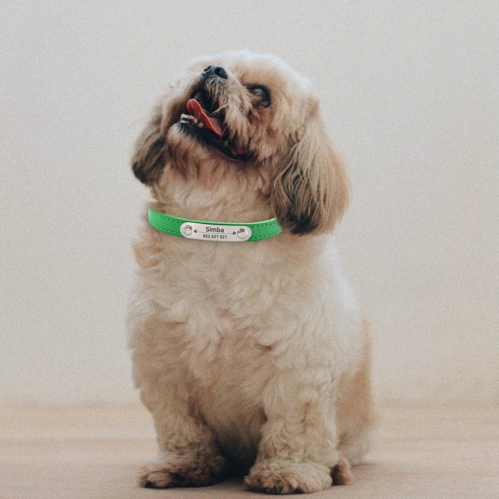 Carved ID Anti-Lost Leather Collar for Dogs, Puppies & Cats