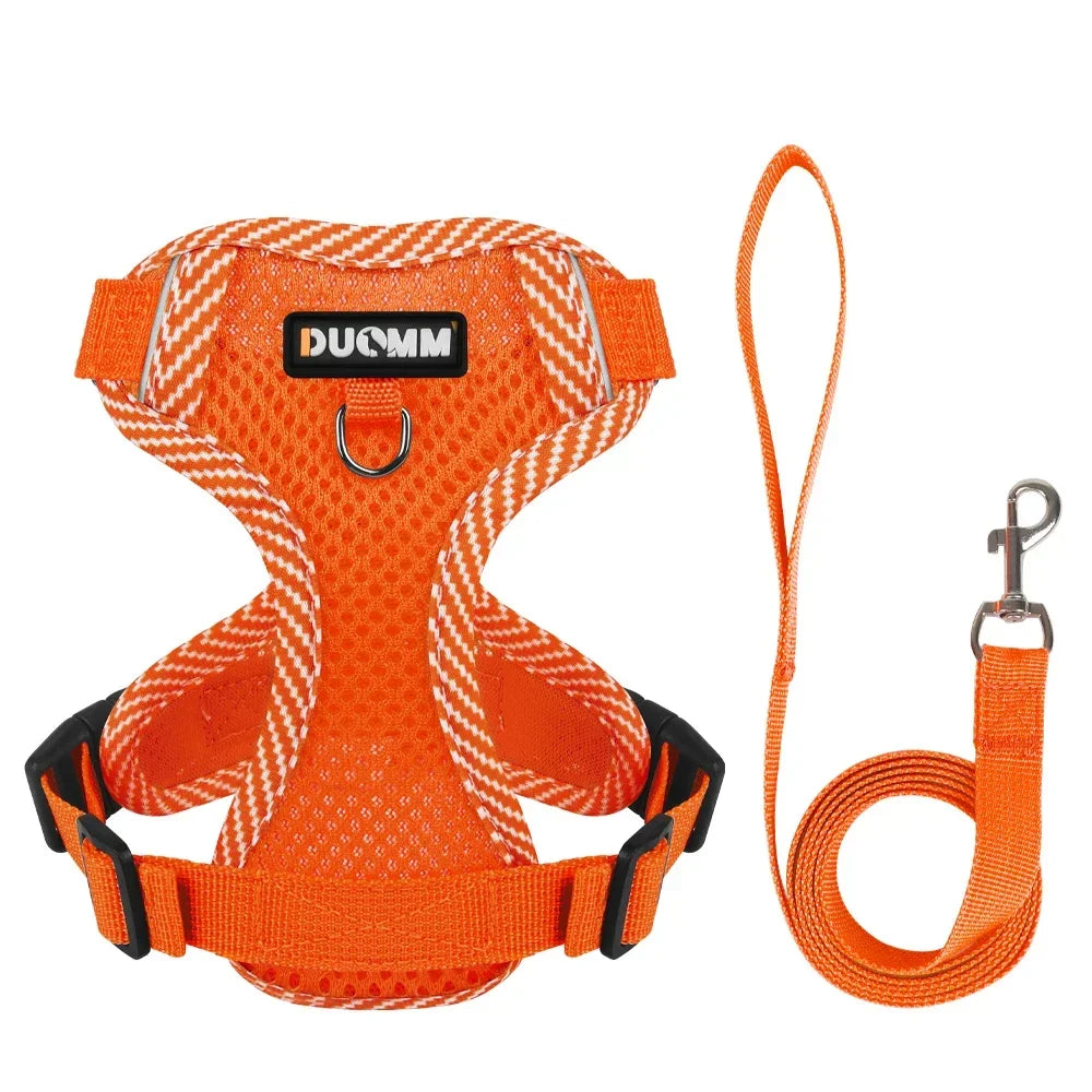 Reflective Harness & Leash Set for Small Dogs
