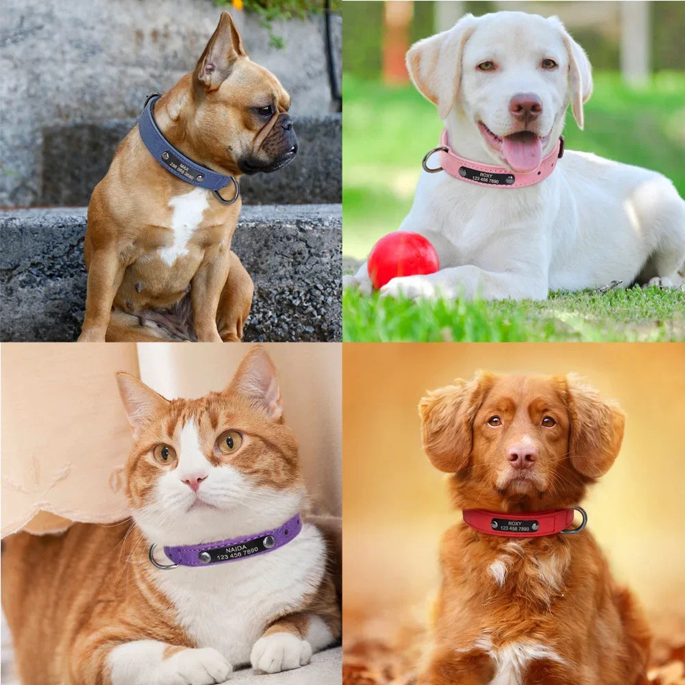 Personalized Leather ID Collar for Dogs – Free Engraving