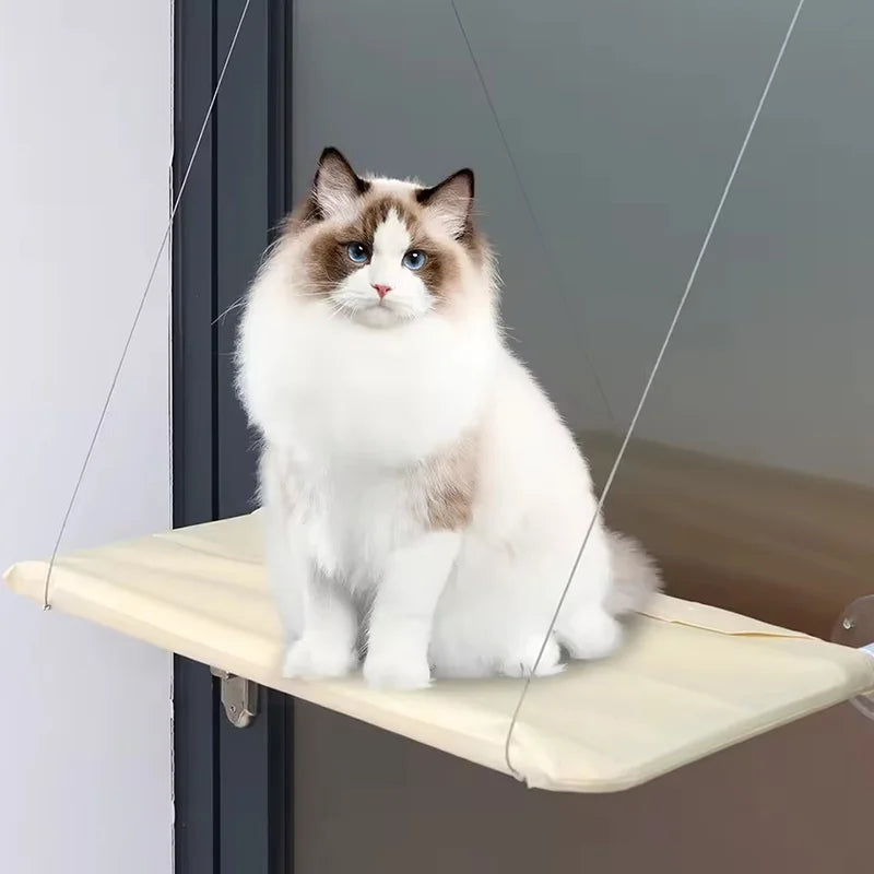 Cat Window Hammock - cat resting on window-mounted perch