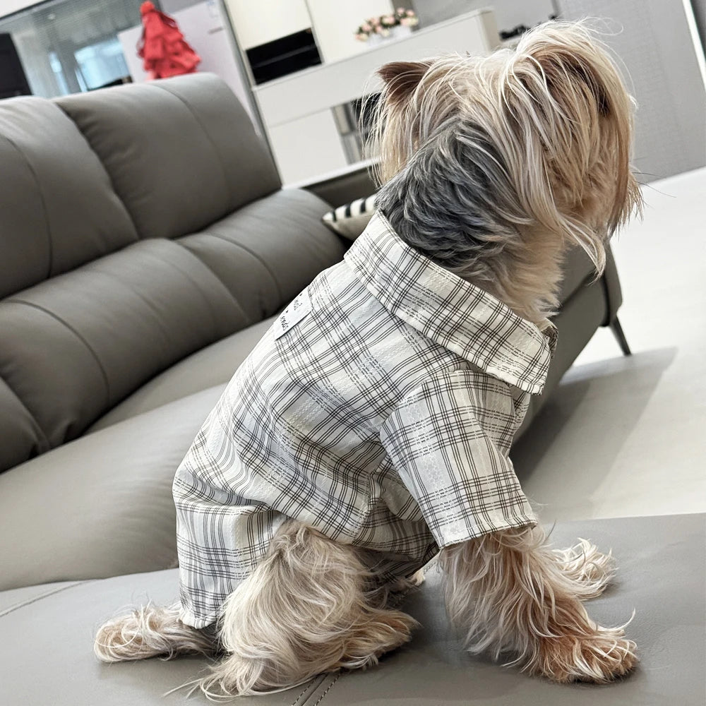 Plaid Shirt for Dogs & Cats - close-up of plaid pattern fabric