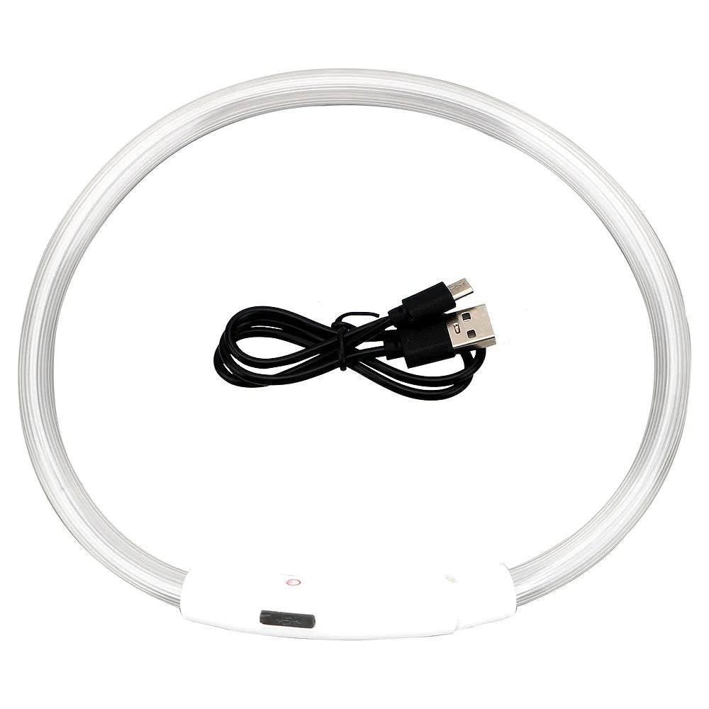 USB Rechargeable LED Glow Dog Collar