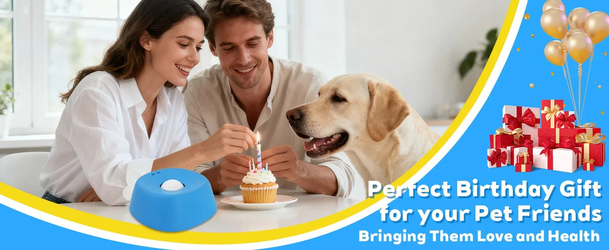 Slow Lick Bowl for Dogs – Anti-Choking Treat Mat