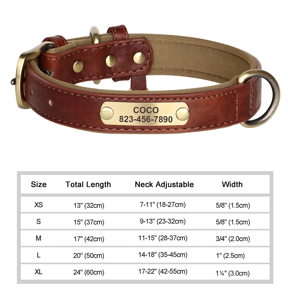 Personalized Leather ID Collar for Dogs – Free Engraving