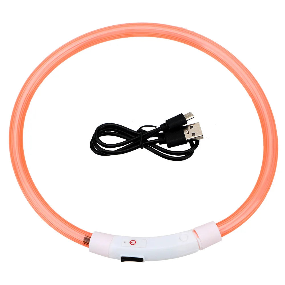 USB Rechargeable LED Glow Dog Collar