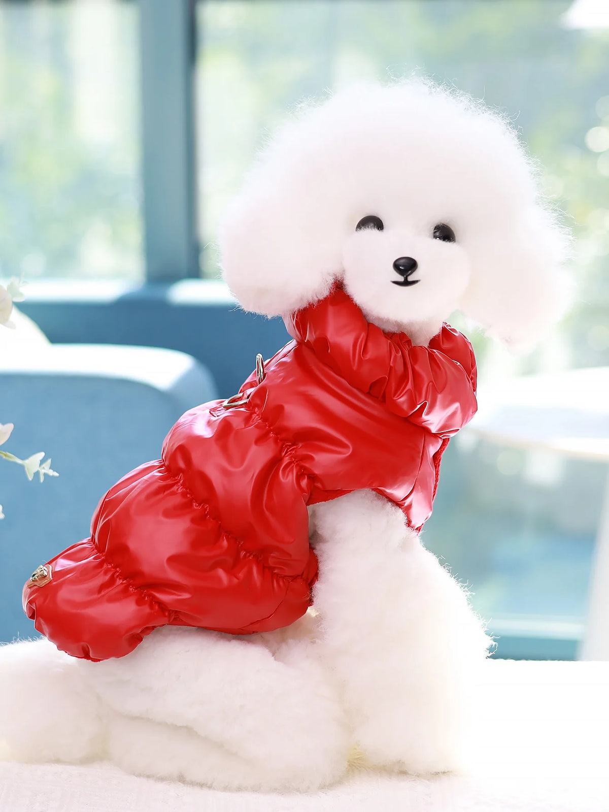 3-Layer Thick Dog Coat - product detail view