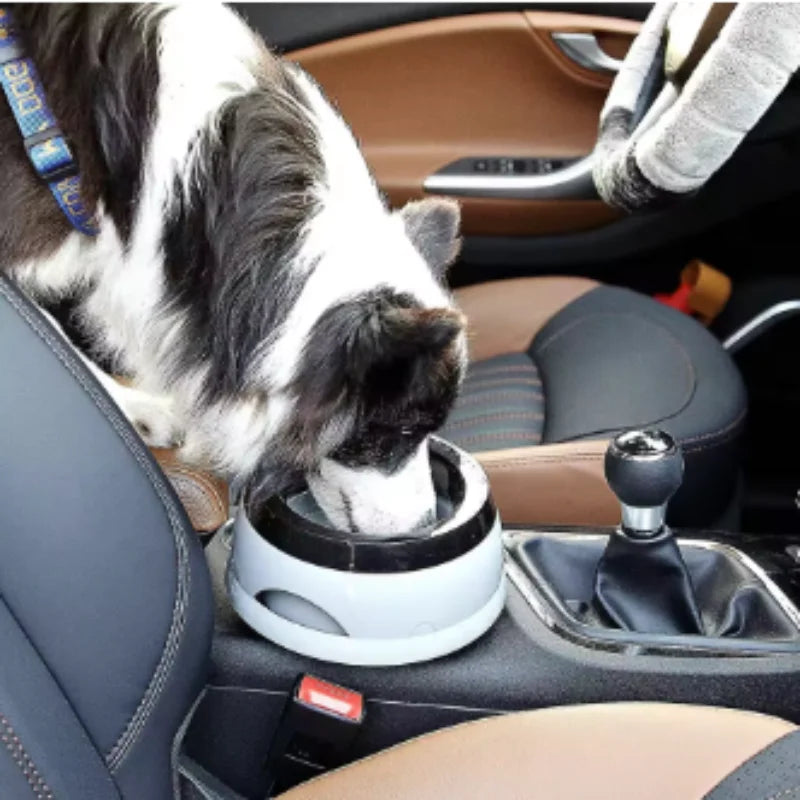 Floating No-Spill Pet Water Bowl