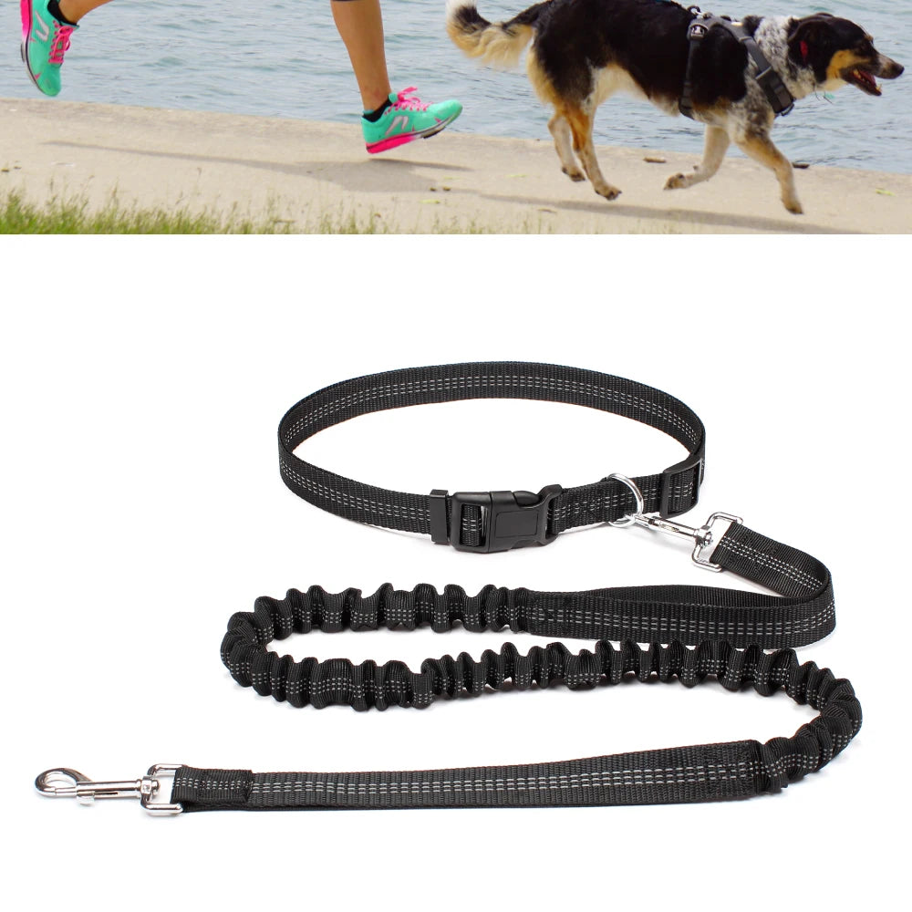 Hands-Free Running Leash with Waist Belt for Dogs
