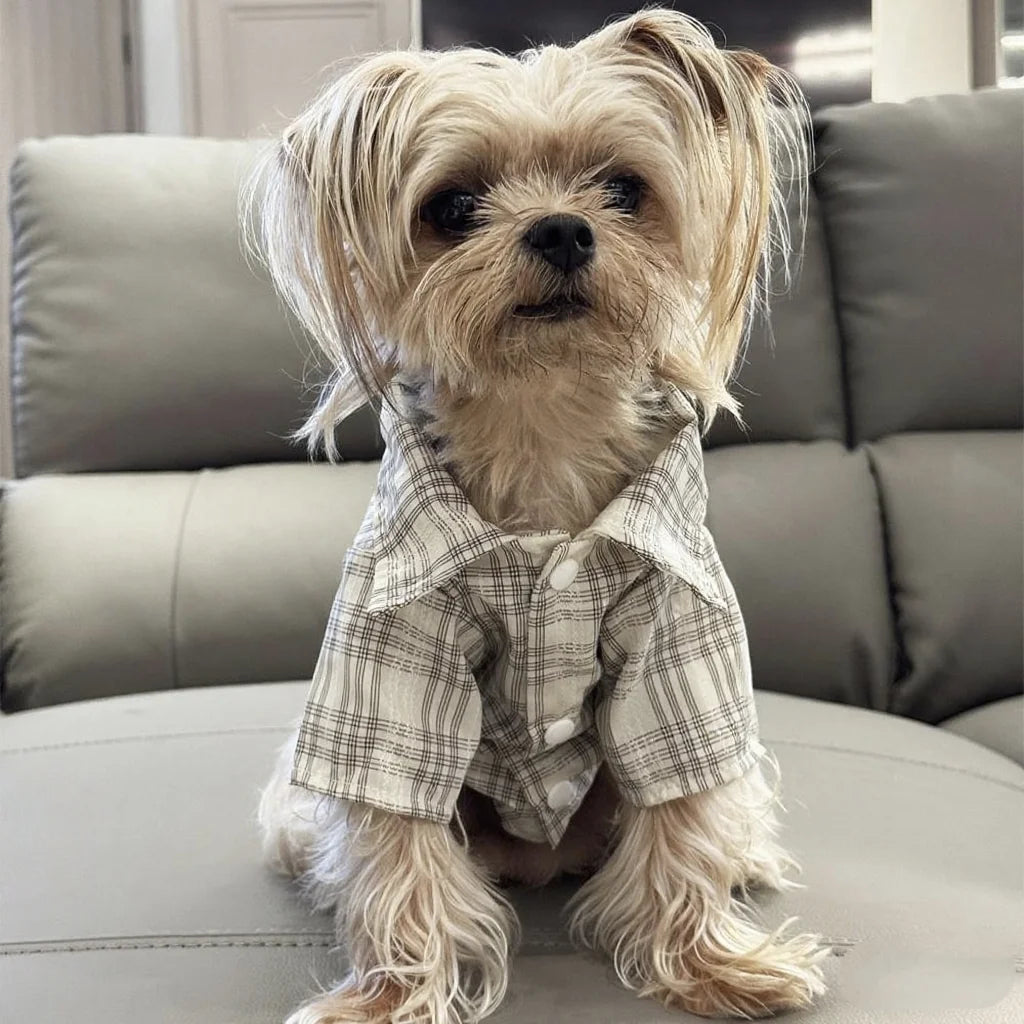 Plaid Shirt for Dogs & Cats - product detail view