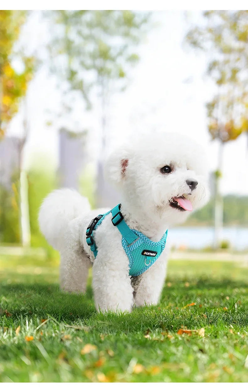Reflective Harness & Leash Set for Small Dogs