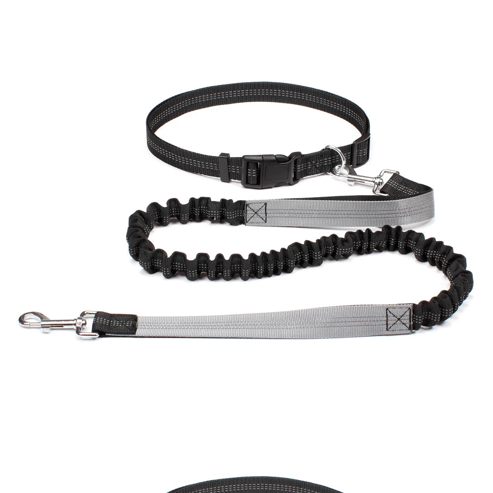 Hands-Free Running Leash with Waist Belt for Dogs