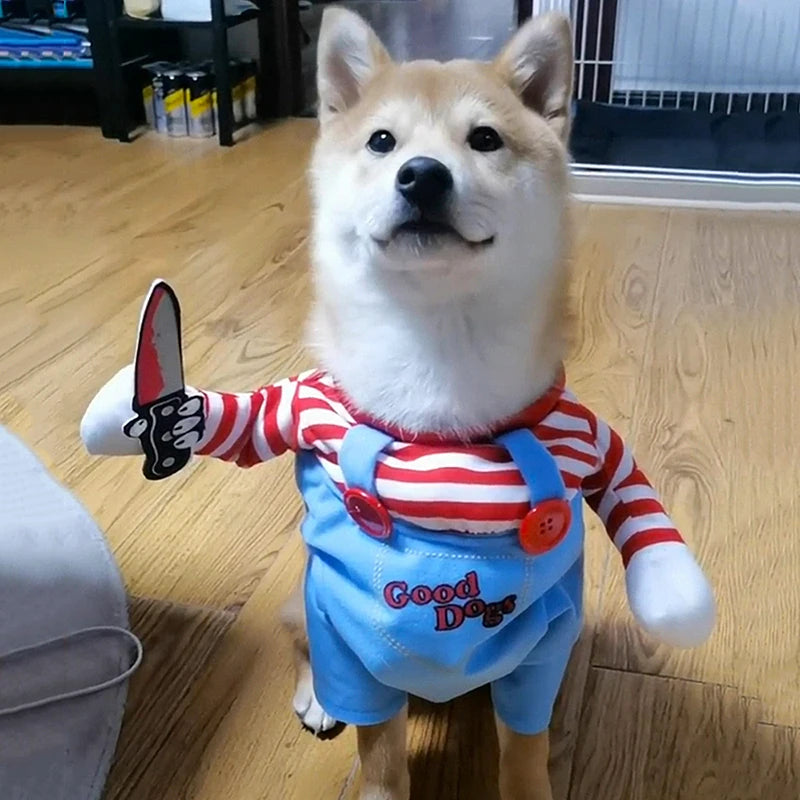 Halloween Costume for Pets - pet wearing Halloween costume