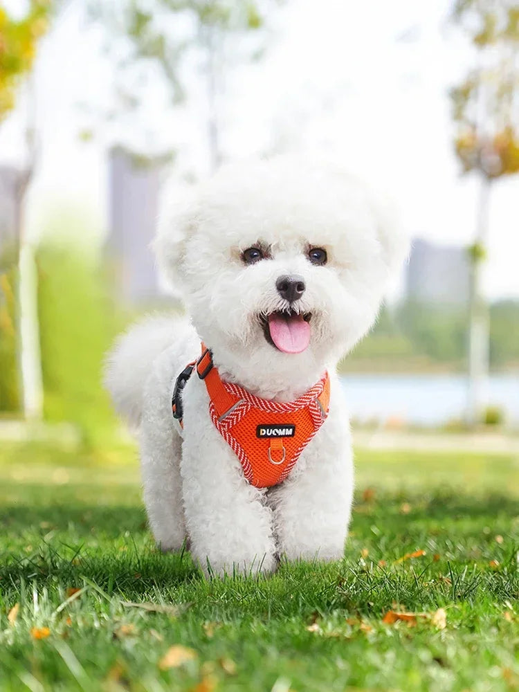 Reflective Harness & Leash Set - close-up of breathable chest strap