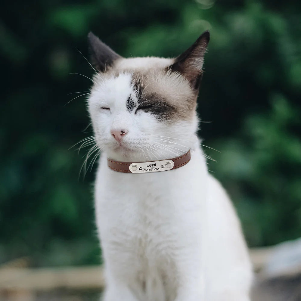 Carved ID Anti-Lost Leather Collar for Dogs, Puppies & Cats