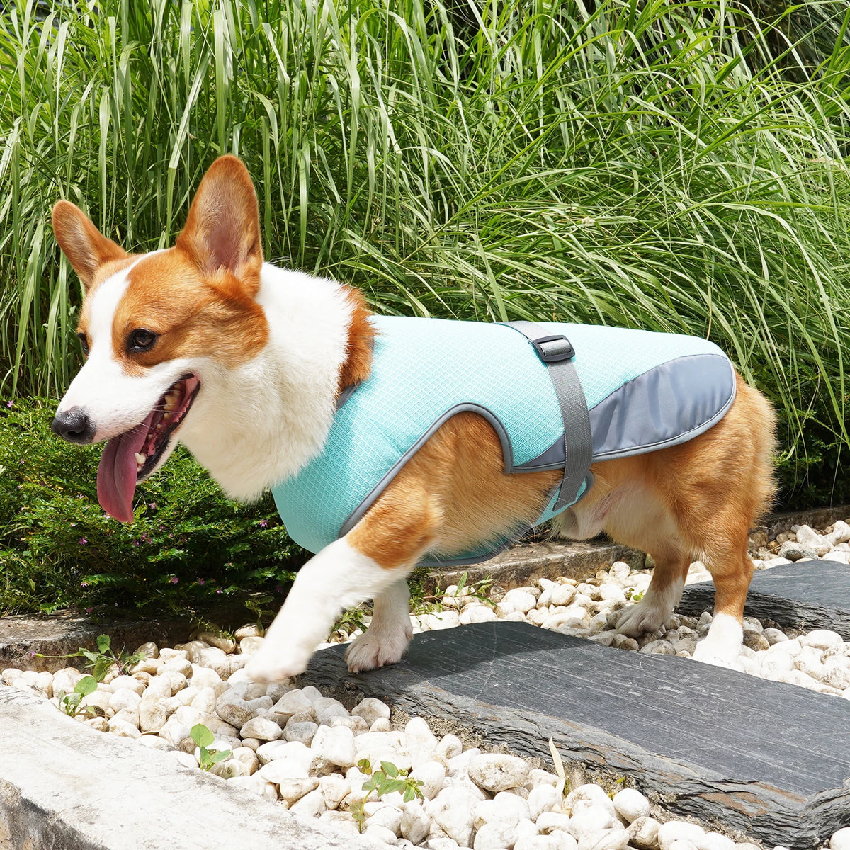 Breathable Cooling Vest for Dogs - product detail view