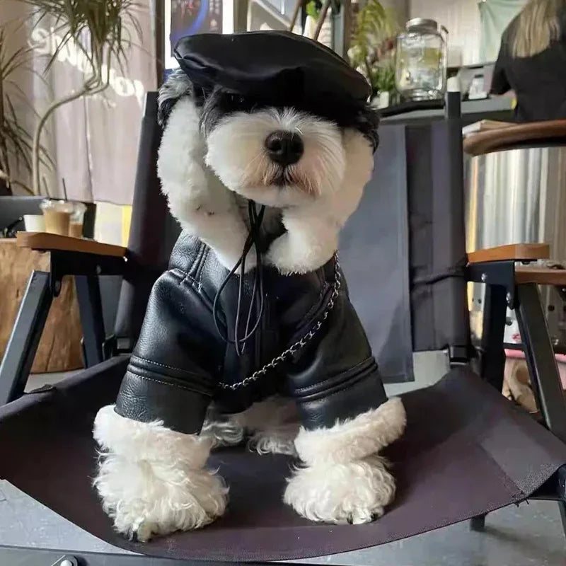 Faux Leather Dog Coat - product detail view